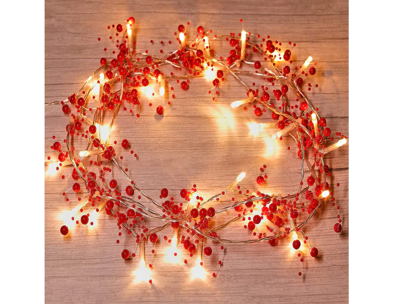 6.56FT 20 LED Christmas String Lights Battery Operated for Christmas Decoration - 2 Light Modes Christmas Lighted Red Berry Garland