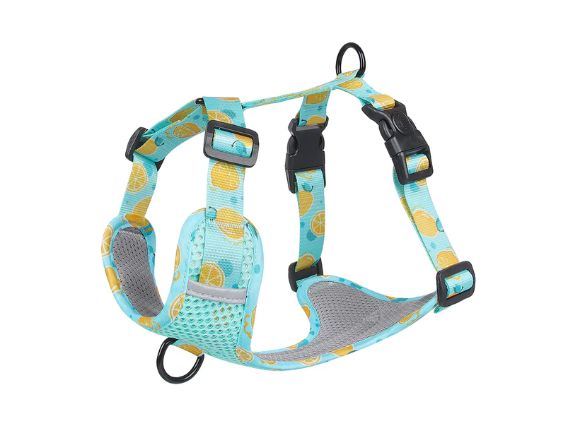 ishuif Chest Harness Reflective Strip with Tow Ring Breathable Outing Traction Polyester Fruit Print Pet Traction Harness for Outdoor-XL Lake Blue