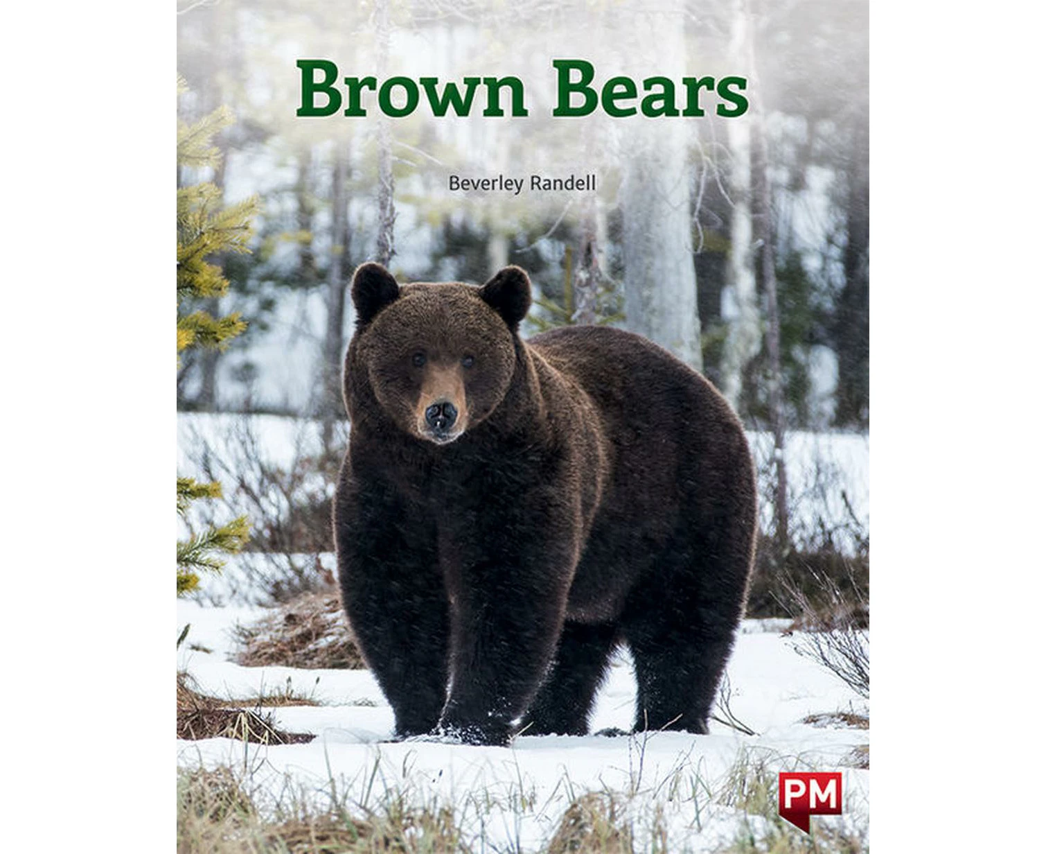 BROWN BEARS by BEVERLEY RANDELL