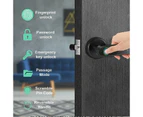 Electronic Smart Door Lock Handle Digital Fingerprint Password Bluetooth Key APP-silver