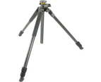 Vangaurd VEO 3+ 263CT Pro Tripod Legs Only