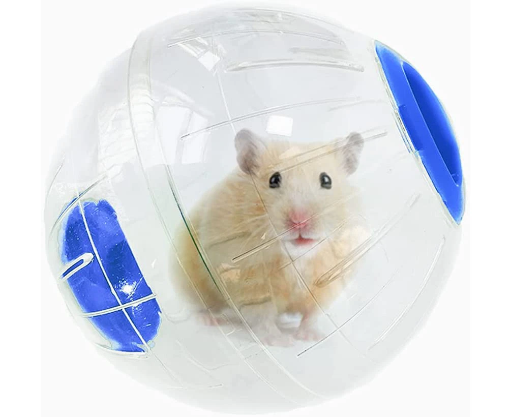 Hamster Exercise Ball,Small Animals Hamster Toy 6'' Running Sport Jogging Wheel,Hamster Activity Transparent Ball for Mice Rat