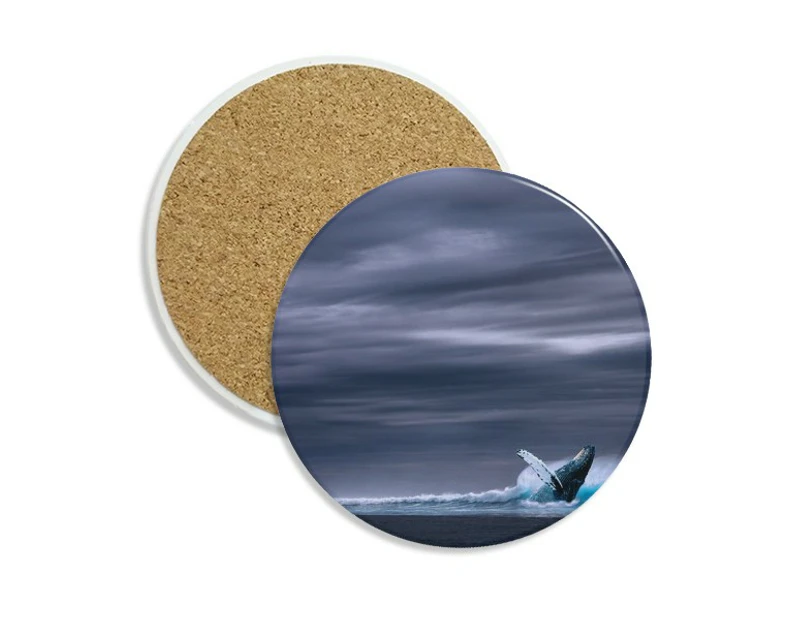 ocean humpback fish science nature picture coaster cup mug tabletop protection absorbent st