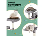 Cat tree  scratching post  multi-level  medium size  light grey  stable