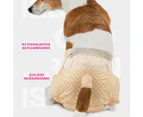 Male Dog Diapers Physiological Pants Color Change Pet Aunt Towel