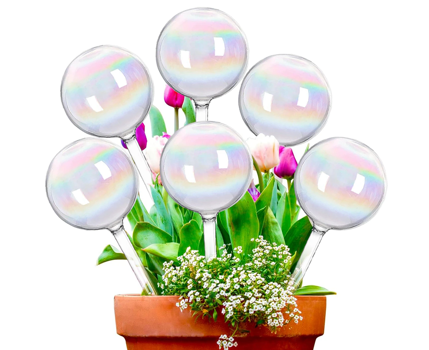 Plant Rainbow Watering Globes 6 PCS for Indoor Plants, Water Bulbs for Plants for Vacation, Travel, Self-Watering Stakes