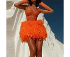 Janelle Sleeveless V-Neck Sequin Feather Mini Dress