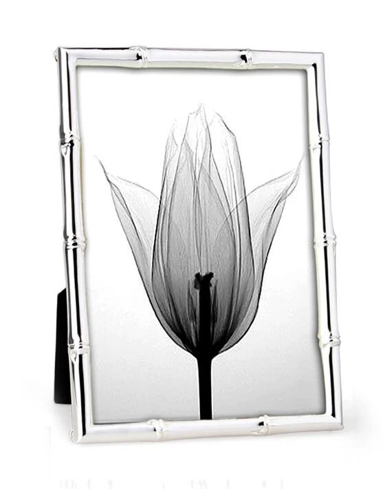 Whitehill Studio - Silver Plated Photo Frame - Bamboo 5x7"