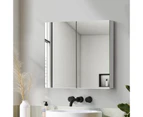 Bathroom Mirror Cabinet Vanity Medicine Shaving Wall Storage 750mmx720mm