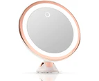 10X Magnifying Makeup Mirror LED Lights True Natural Daylight USB Battery