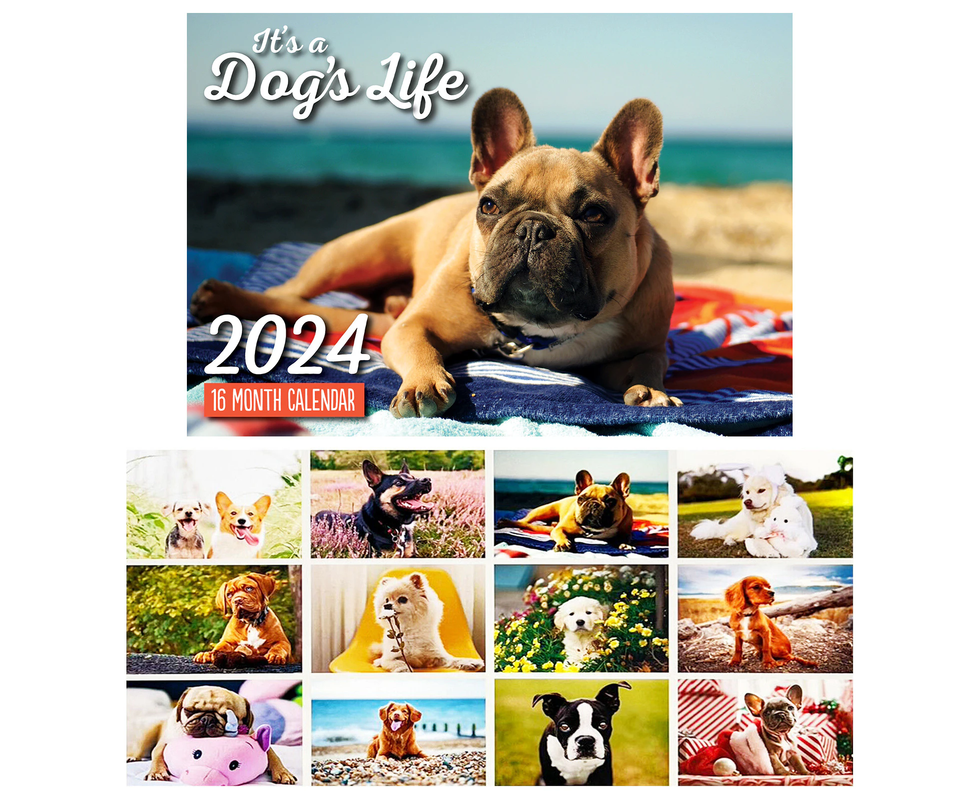 It's A Dog's Life 2024 Rectangle Animal Wall Calendar 16 Months Hanging Planner