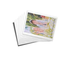 10 Pack Shot2Go Magnetic Picture Photo Fridge Frames Holds a 6x4 inch photo