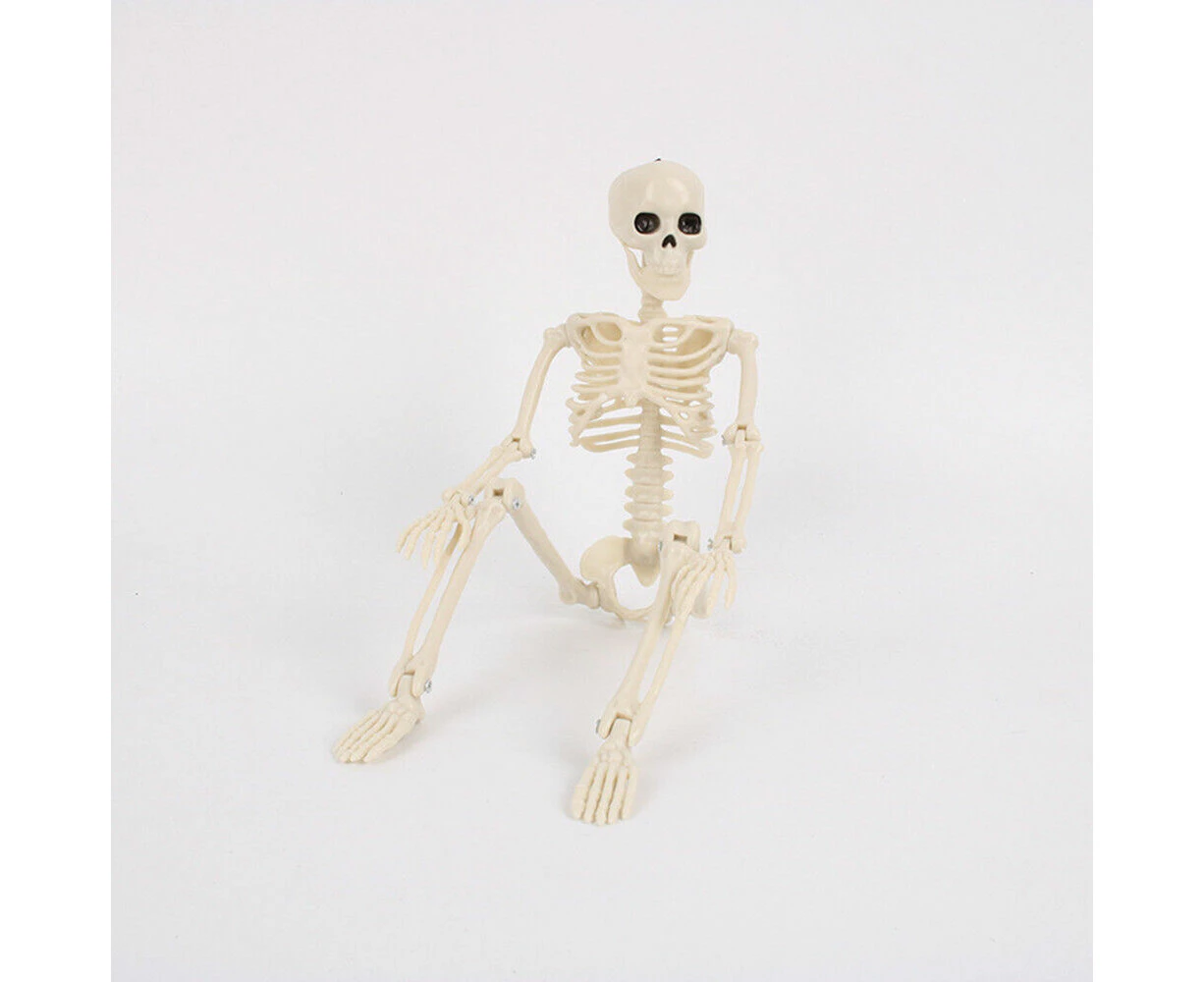 Poseable Full Life Size Human Skeleton Prop Halloween Party Decoration