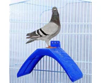 Pigeon Dove Rest Stand Frame Grill Dwelling Perches Roost Bird Supplies Set