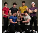 Mens Workout T-Shirts Athletic Gym Tee Shirts for Men with Short Sleeve-silvery