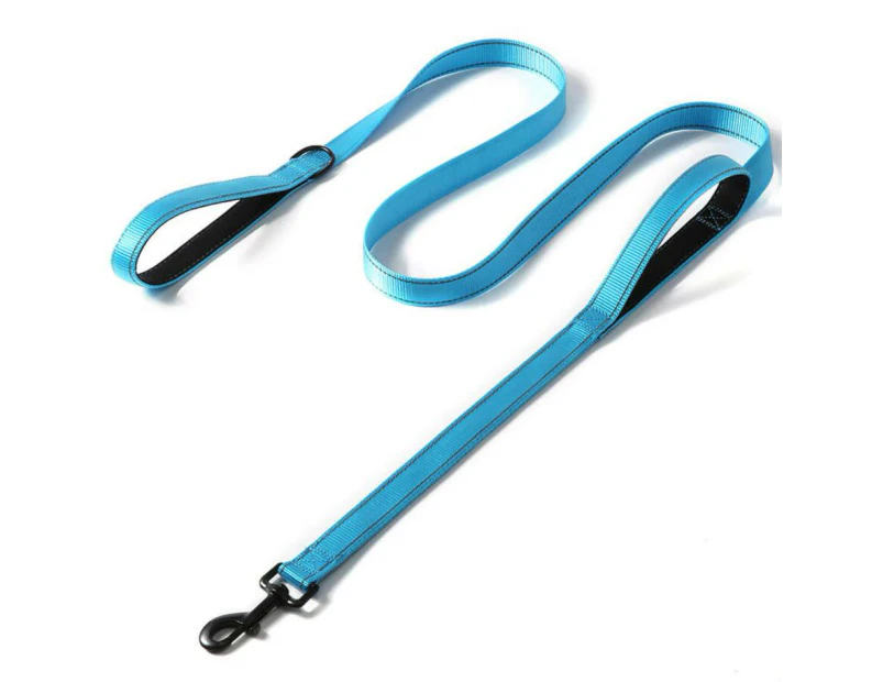 Reflective Heavy Duty 6ft Dog Leash - Light Blue