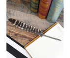 Luxury Vintage Feather Quill Dip Calligraphy Fountain Pen Writing Ink 5 Nibs Set Stationery