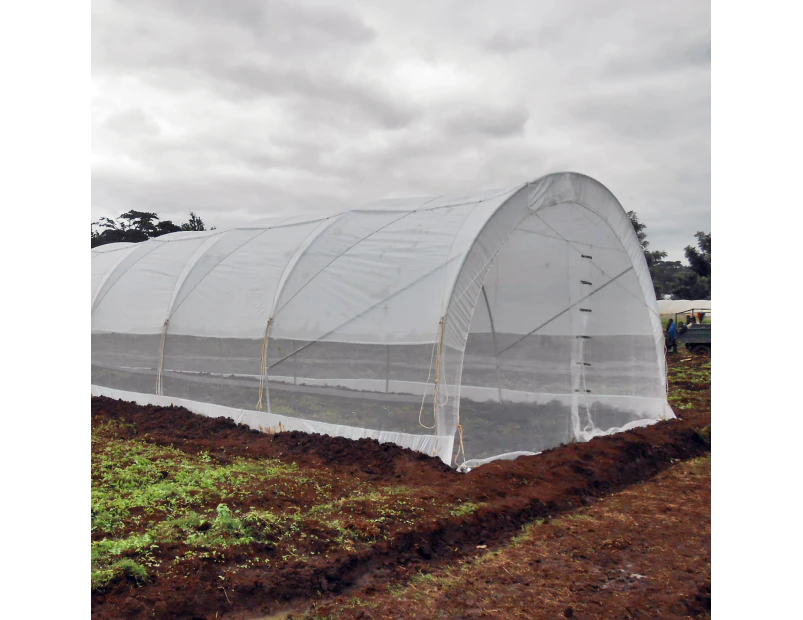 6 x 12M Tunnel Greenhouse with Side Curtains - STK Compact