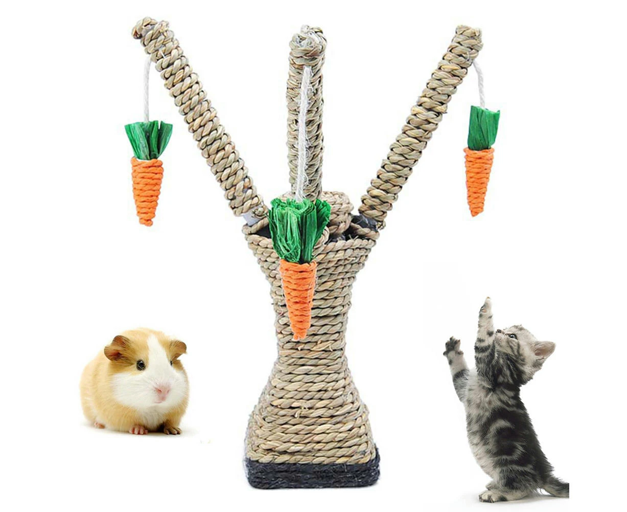 Pet Cat Hamster Crawling Toys Carrot Tree Tower Shelf Scratching Board Chew Toys