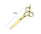 Hair Cutting Shears,Hair Scissors Barber Hairdressing Shears Edge Razor Sharp Blades Haircut Scissors