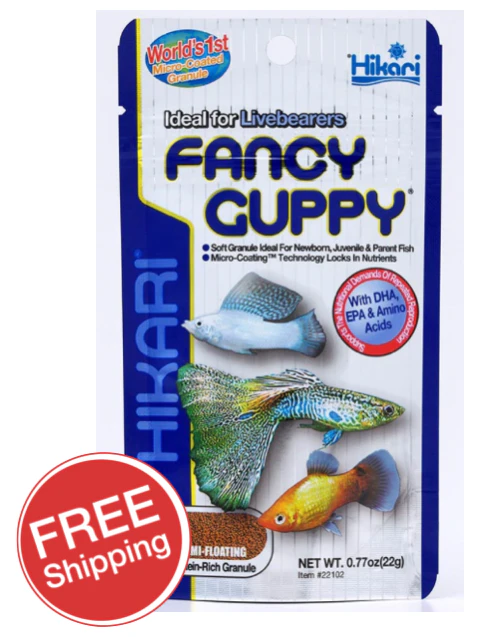 Hikari Fancy Guppy 22gm (KH22102)