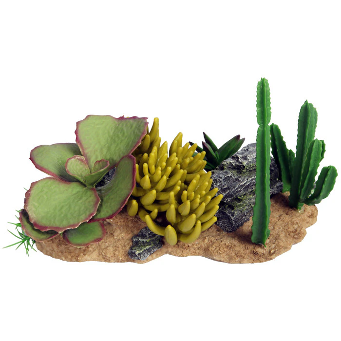 Reptile One Succulent Garden With Resin Base (46783)