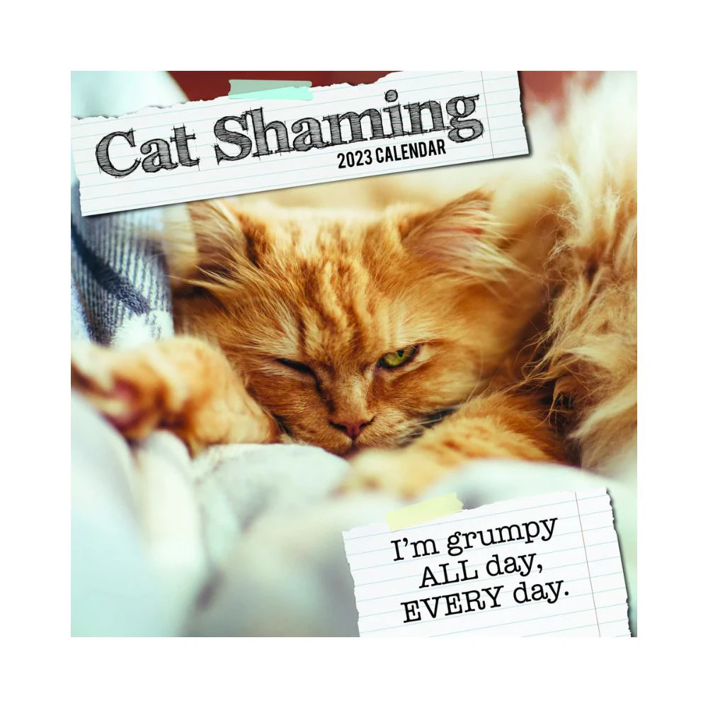 2023 Square Wall Calendar - Animals Cat Shaming