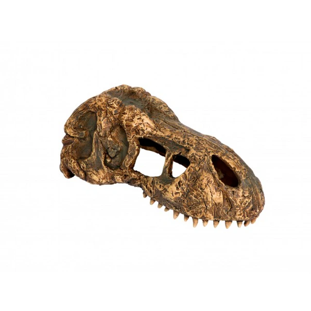 Exo Terra T-Rex Skull Small (PT2860)