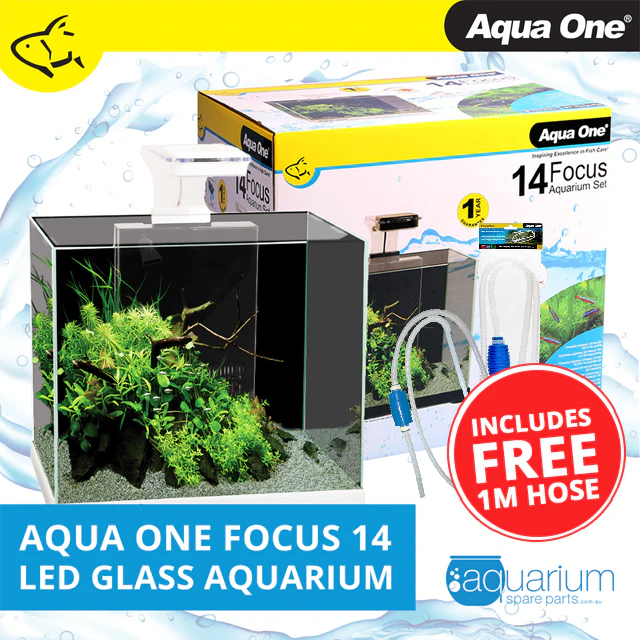 Aqua One Focus 14 LED Aquarium White (56221WH)