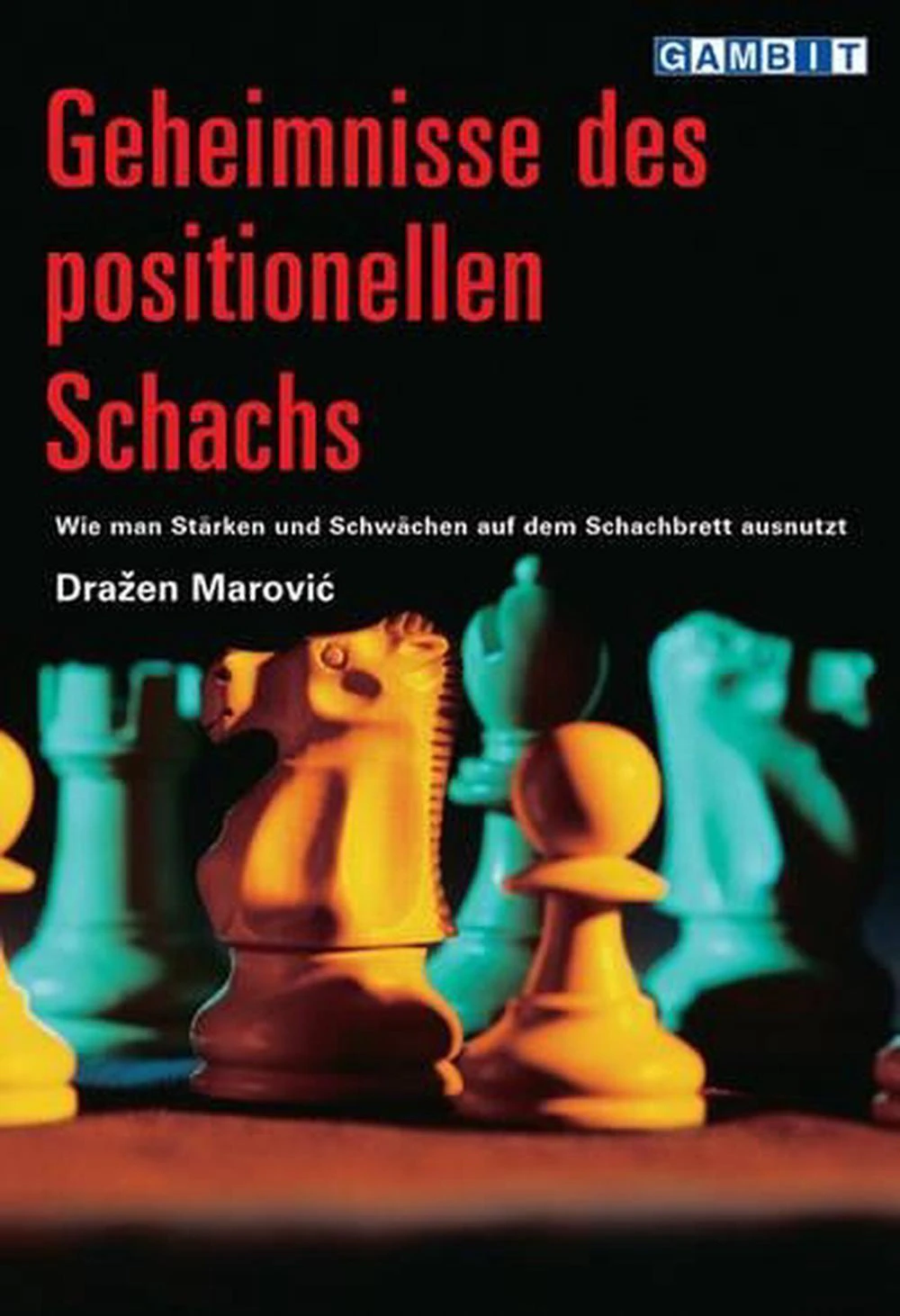 Geheimnisse Des Positionellen Schachs