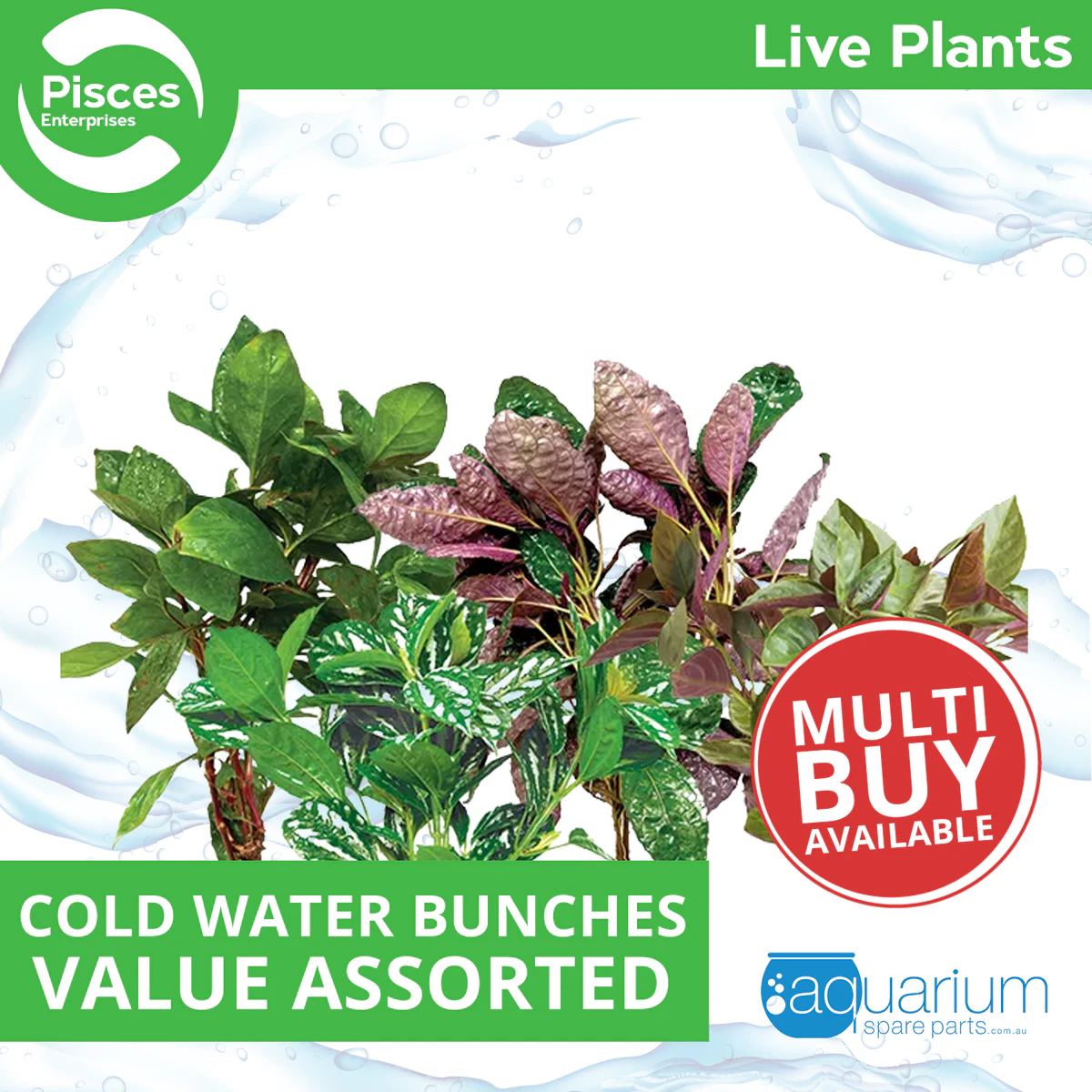 Pisces Live Plant Cold Water Bunches - Value Assortments (110515)