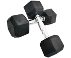 Rubber Hex Dumbbells 15kg Pairs