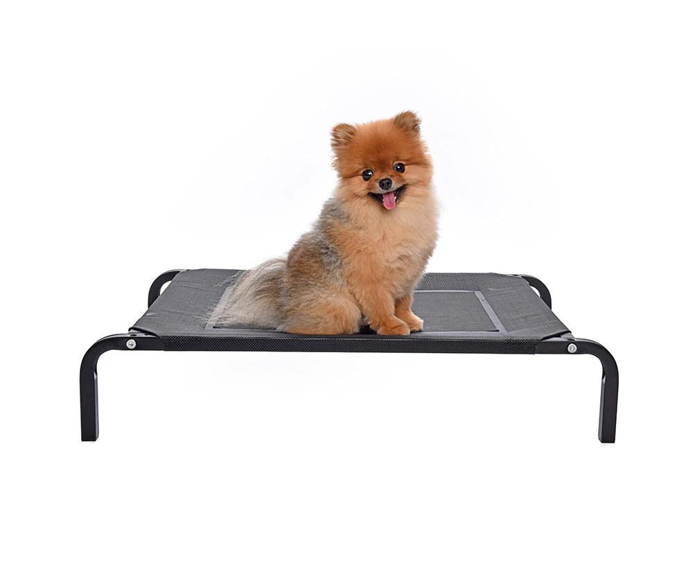 flea free Elevated Dog Bed - Black/Small