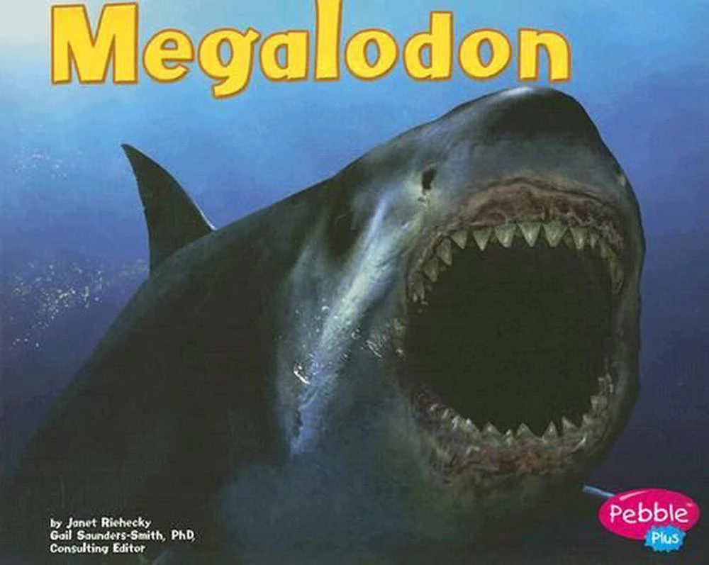 Dinosaurs and Prehistoric Animals Megalodon