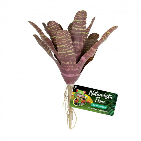 Zoo Med Chestnut Bromeliad (BU-61)