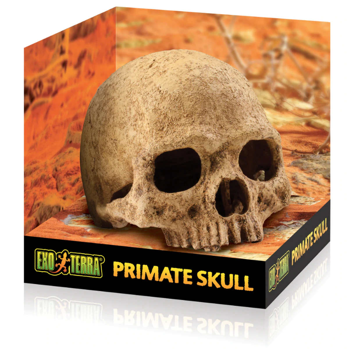 Exo Terra Primate Skull - Large (PT2855)