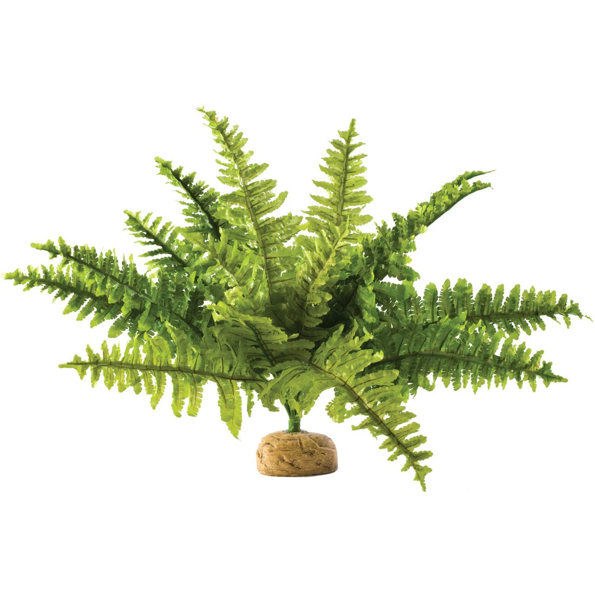 Exo Terra Boston Fern - Medium 40cm (PT2995)