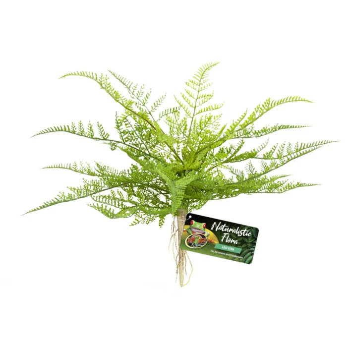 Zoo Med Lace Fern (BU-62)