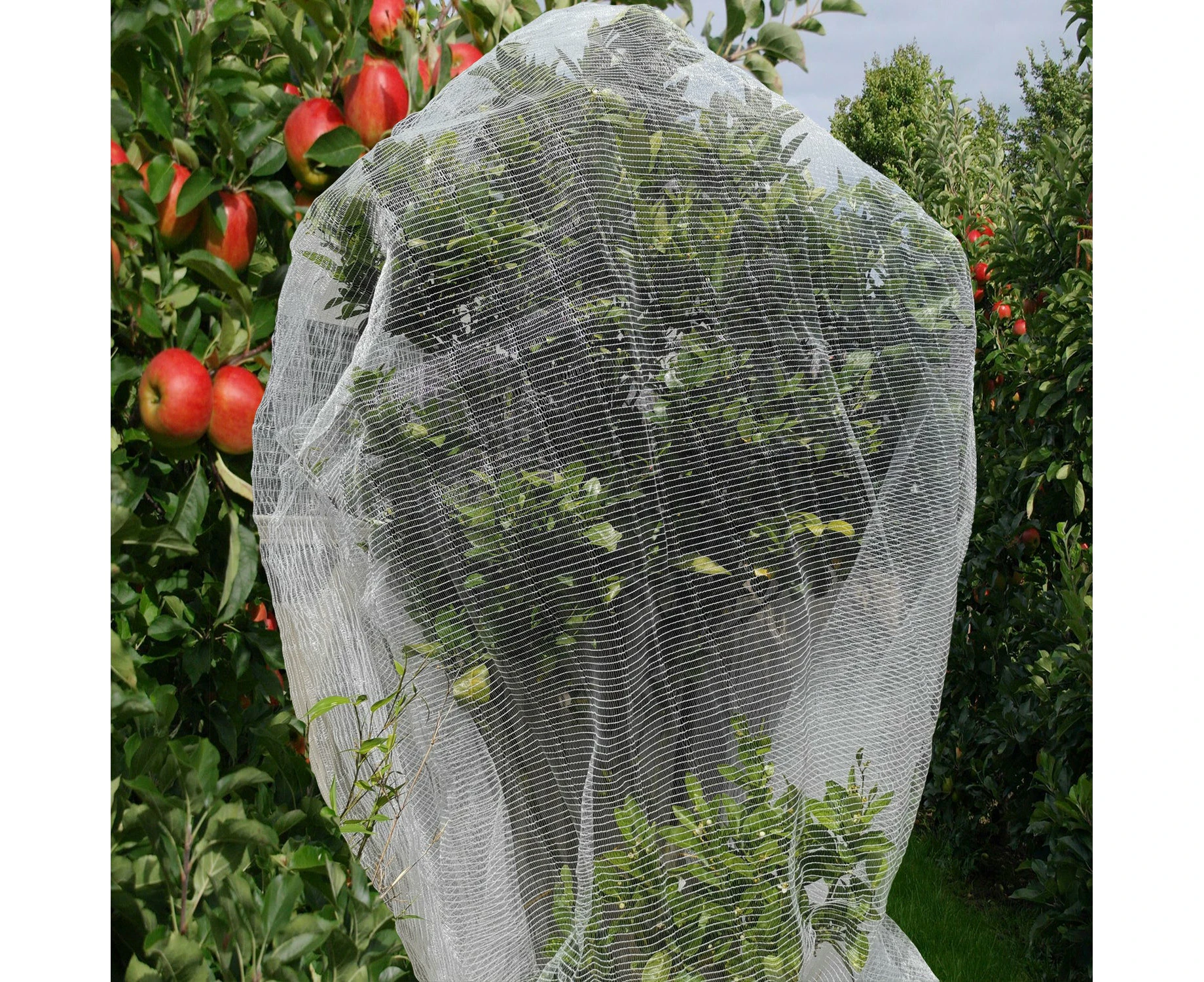 QOZY Fruit Fly Net Insect Mesh Vegetable Garden Plant Crops Bird Protection