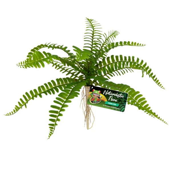 Zoo Med Sword Fern (BU-63)