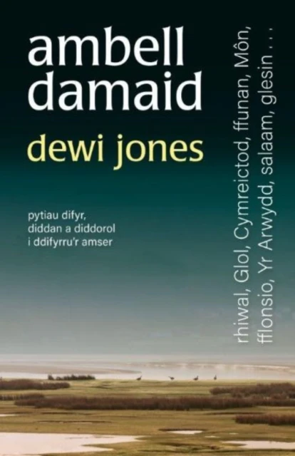 Ambell Damaid by Dewi Jones