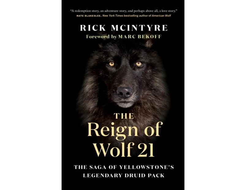 The Reign of Wolf 21 by Rick McIntyre