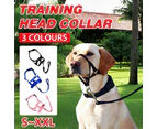 Dog Training Muzzle Blue