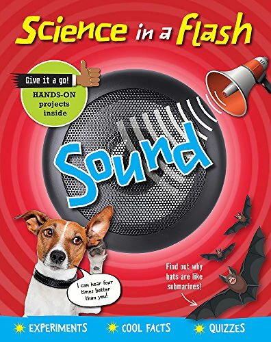 Science in a Flash: Sound (Science in a Flash) - Children's Book