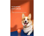 USB Electronic Smart Dog Toy Ball Interactive Pet Automatic Moving Ball Gift orange