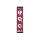 NFL Teams EVOLUTION Wool Banner 80x20cm - Arizona Cardinals