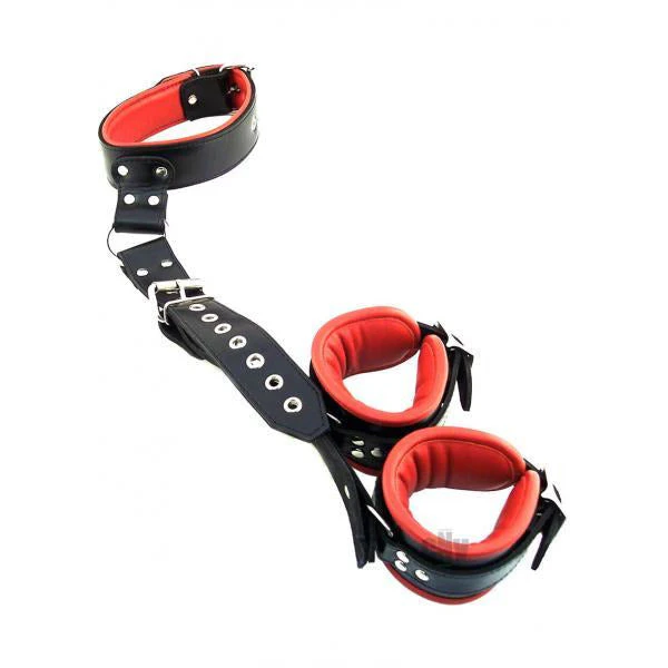 Rouge Leather Neck To Hand Restraint Black Red