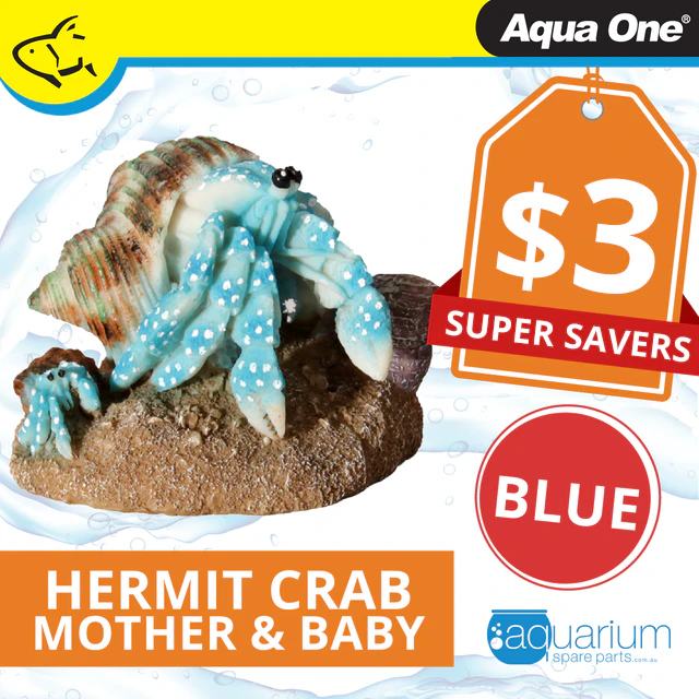 Aqua One Hermit Crab Mother & Baby Blue Ornament 8.1x6.7x5.8cm (37180BL)