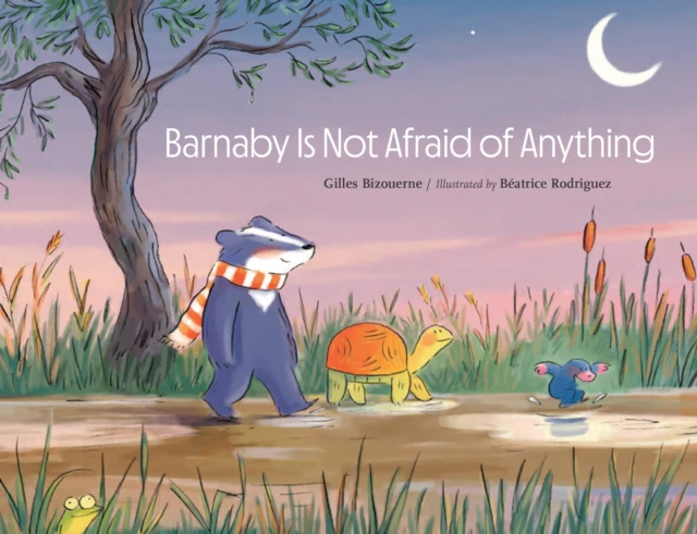 Barnaby Is Not Afraid of Anything by Gilles Bizouerne