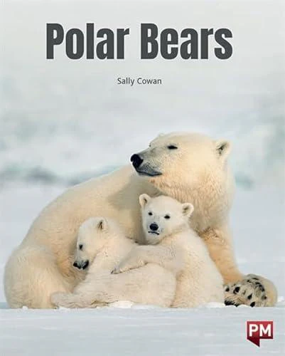 POLAR BEARS by SALLY COWAN